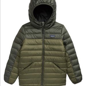 Patagonia reversible down sweater hoody